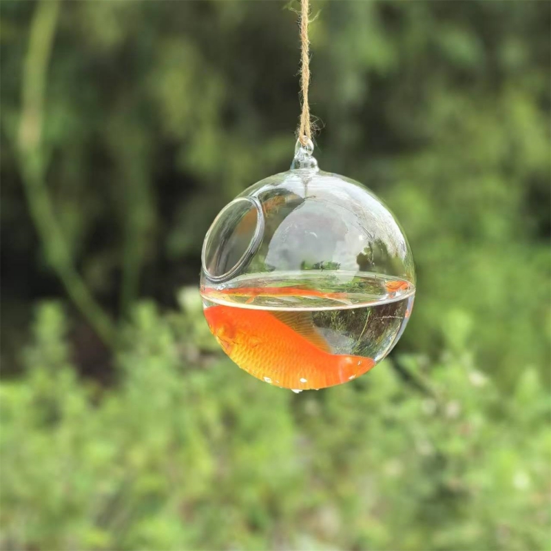 Aquarium - 작은 포장 직경=10cm 12cm 15cm 20cm