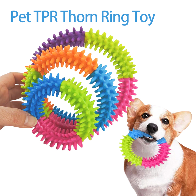 Flying Disc Dog Training Toy - 귀여운 강아지 장난감 훈련용 플라잉 디스크
