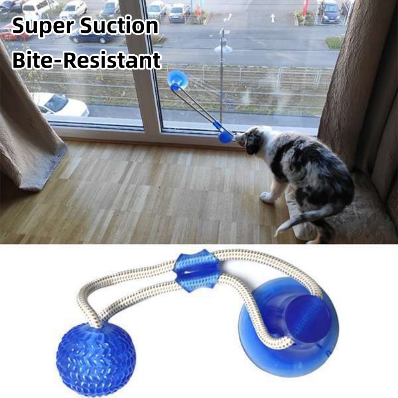 Suction Cup Dog Tug Toy - 튼튼한 흡착판 강아지 끌어당기기 장난감, 인터랙티브