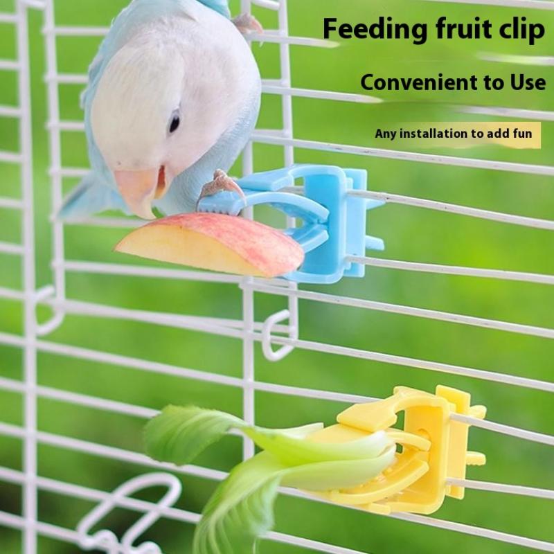 Pet Feeders - *2/4개 애완조류 먹이통 홀더 앵무새 과일