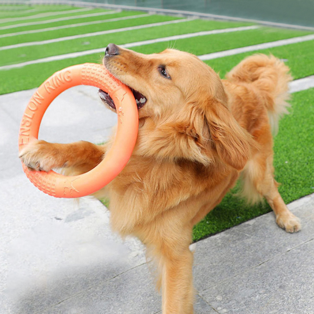 반려동물 플라잉 디스크 훈련 링 풀러, EVA 인터랙티 - Snuffle Mat For Dogs 리뷰 및 가격