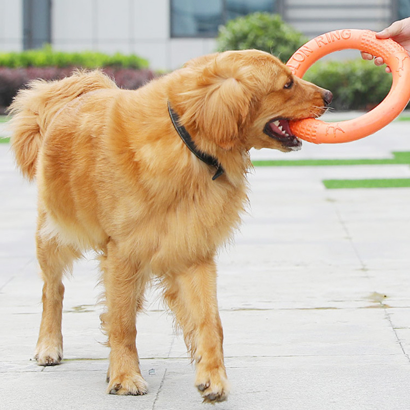 반려동물 플라잉 디스크 훈련 링 풀러, EVA 인터랙티 - Snuffle Mat For Dogs 리뷰 및 가격