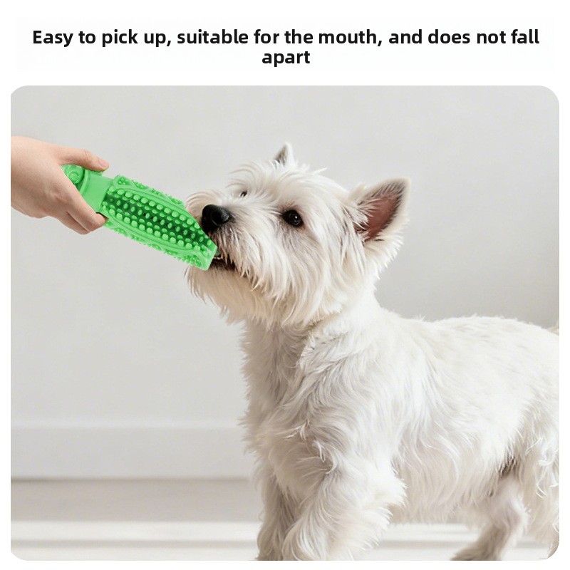 강아지 치아 청소용 씹는 장난감 흡착식 치아 스틱 내구 - Teeth Cleaning Dog Chew Bone 리뷰 및 가격