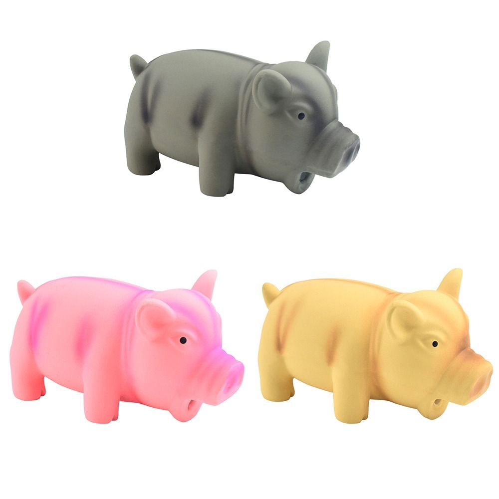 반려동물용 치아 세척 악세사리, 삑삑이 고무 소리나는  - Dog Toys 리뷰 및 가격