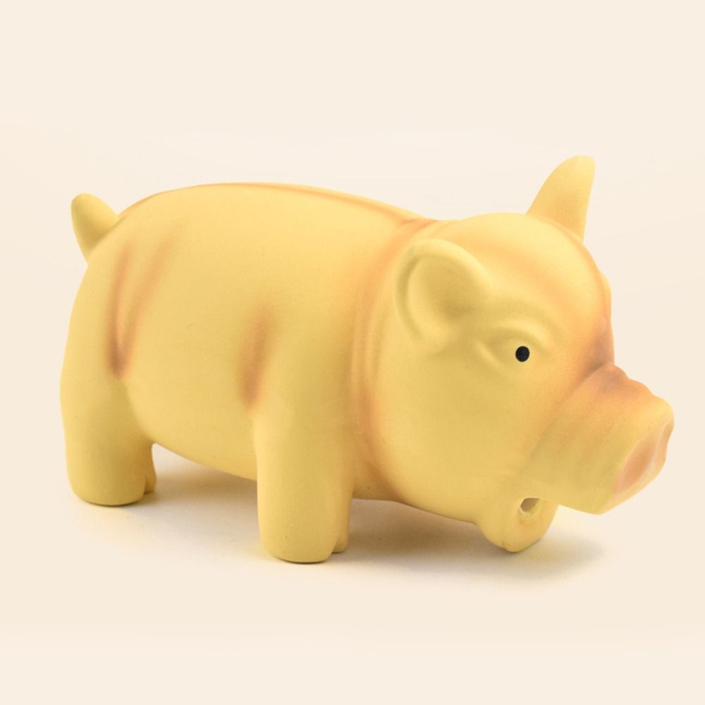 반려동물용 치아 세척 악세사리, 삑삑이 고무 소리나는  - Dog Toys 리뷰 및 가격