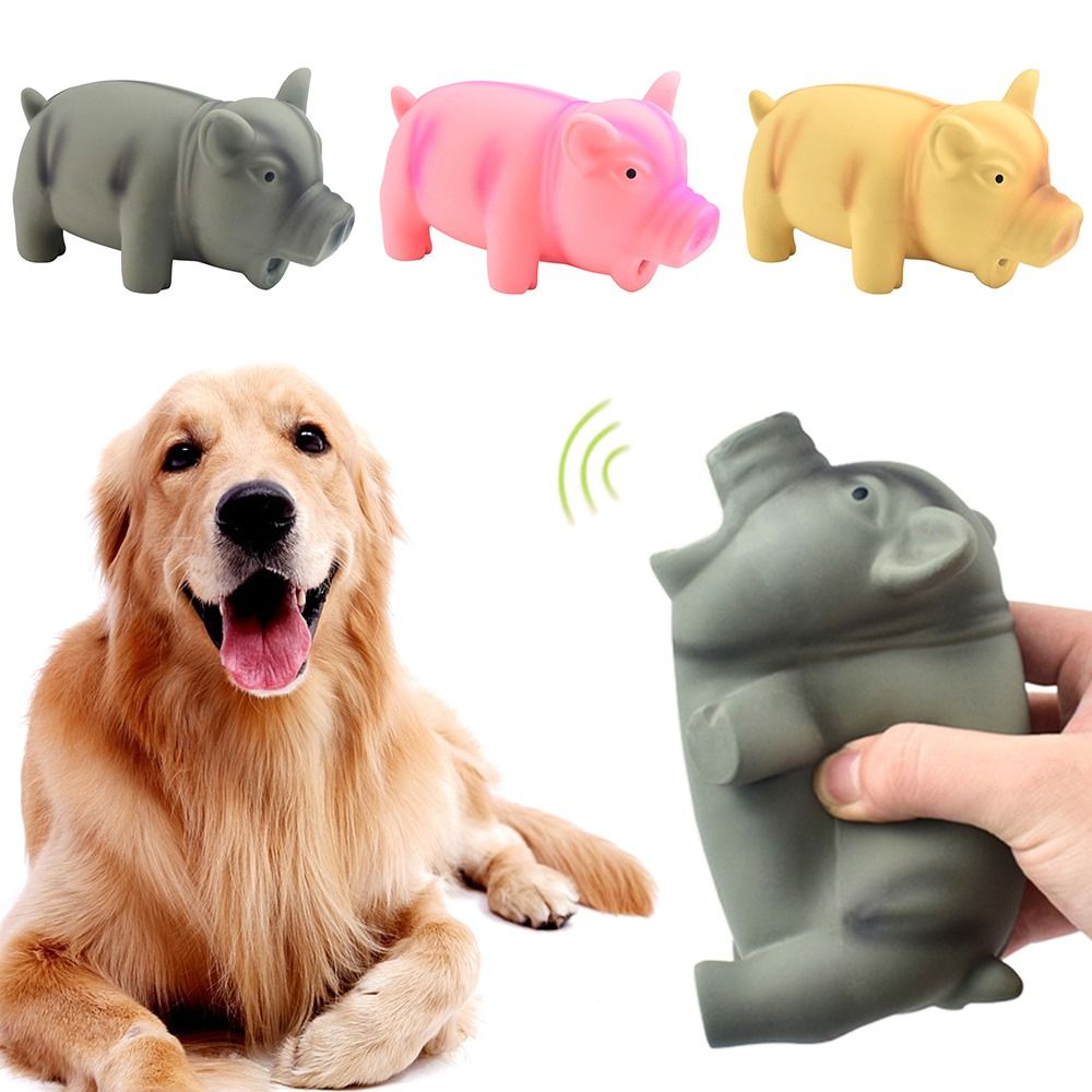 반려동물용 치아 세척 악세사리, 삑삑이 고무 소리나는  - Dog Toys 리뷰 및 가격