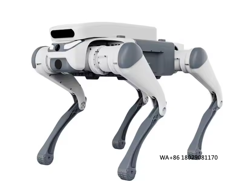 스턴트 원격 조종 교육용 장난감 지능형 급식기 터치 센 - Dog Toys 리뷰 및 가격