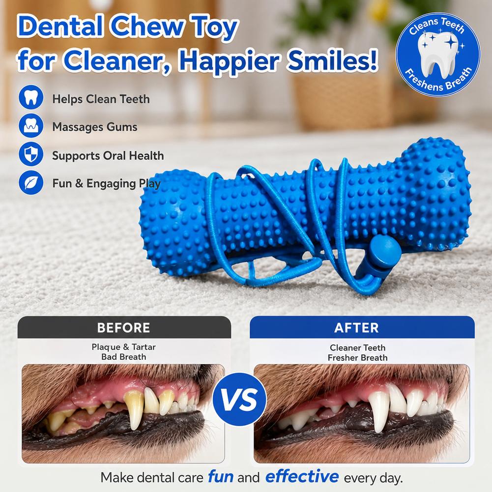 강아지 치아 청소용 씹는 장난감 내구성 있는 재사용 가 - Teeth Cleaning Dog Chew Bone 리뷰 및 가격