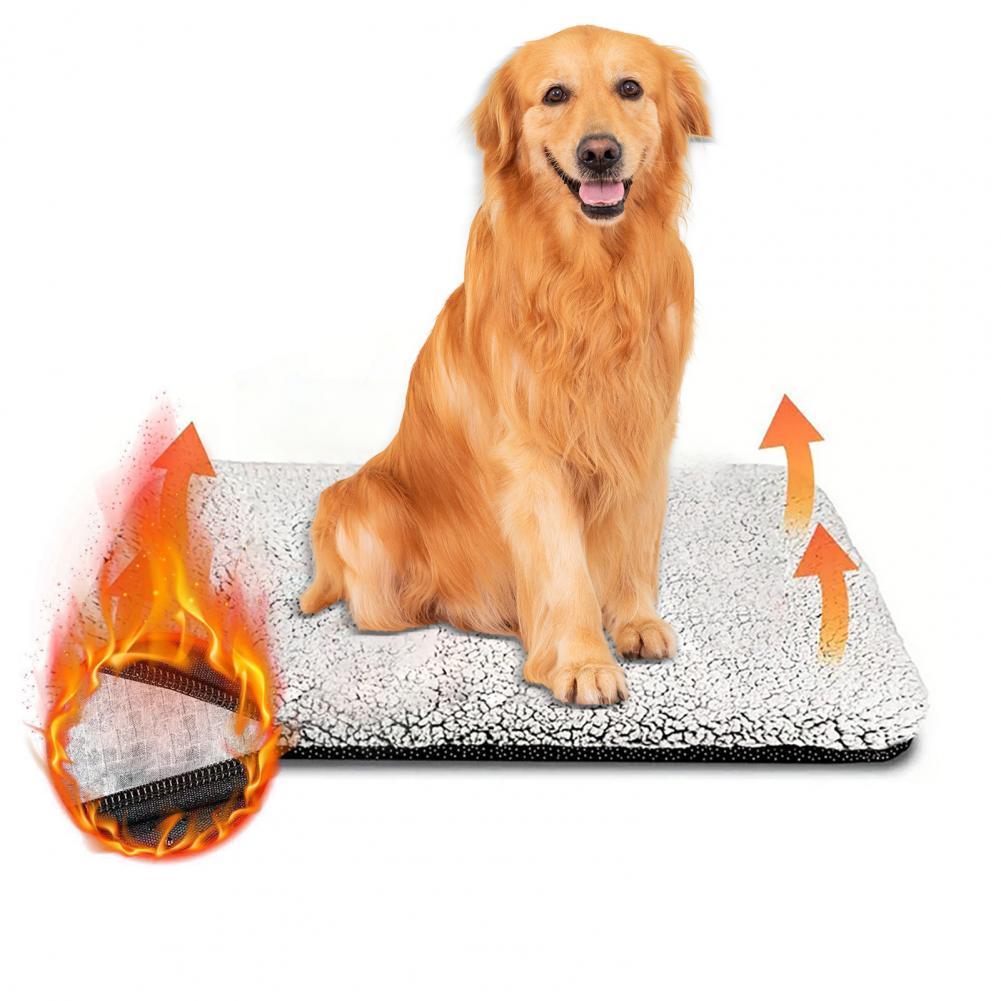 전기 없이 따뜻해지는 강아지 매트, 자가 발열 애완동물 - Pet Beds 리뷰 및 가격