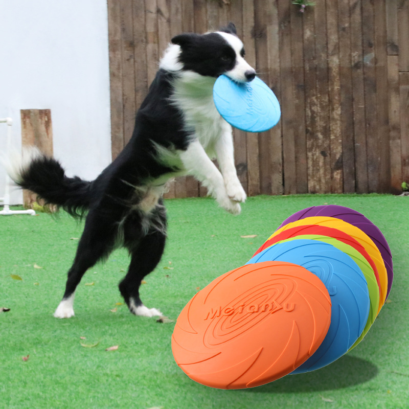 강아지와 고양이를 위한 상호작용형 실리콘 플라잉 소서  - Flying Disc Dog Training Toy 리뷰 및 가격
