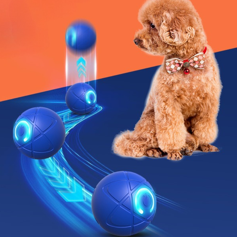 스마트 개 장난감 공 USB 자동 이동 튀는 공 개 장 - Automatic Moving Dog Ball 리뷰 및 가격