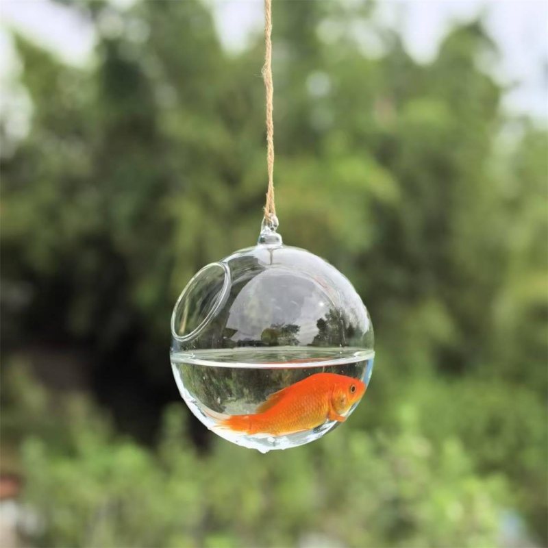 작은 포장 직경=10cm 12cm 15cm 20cm 투 - Aquarium 리뷰 및 가격