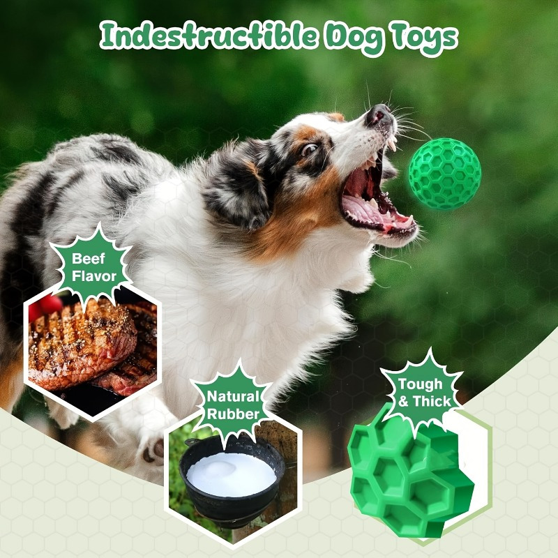 튼튼한 천연 고무 강아지 씹는 장난감, 파괴 불가능한  - Indestructible Dog Chew Toy 리뷰 및 가격