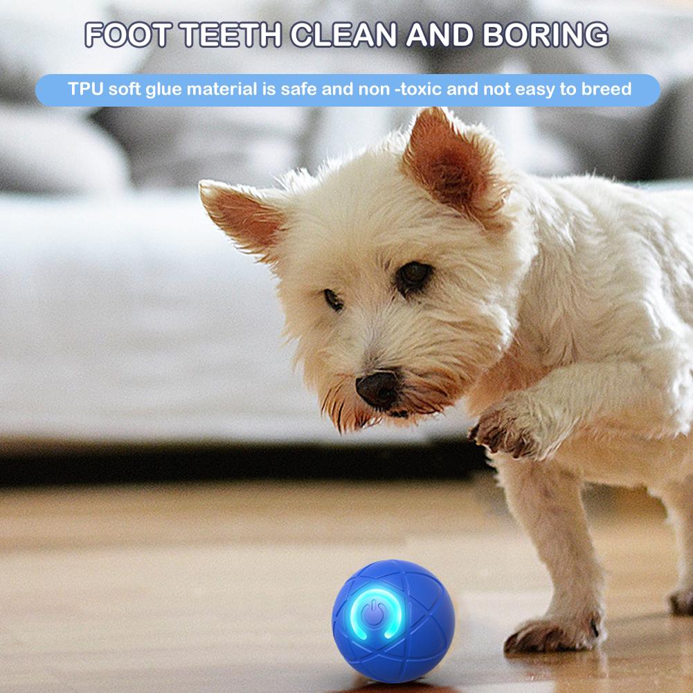 전자 인터랙티브 애완동물 장난감 스마트 강아지 장난감  - Automatic Moving Dog Ball 리뷰 및 가격