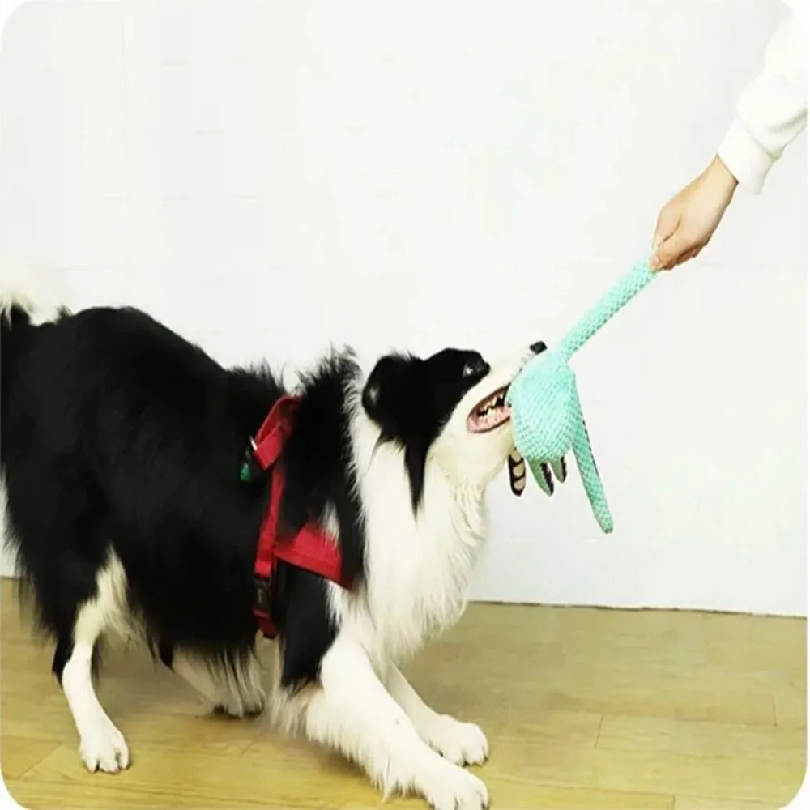 강아지 애완동물 플러시 문어 장난감, 소리나는 인터랙티 - Snuffle Mat For Dogs 리뷰 및 가격