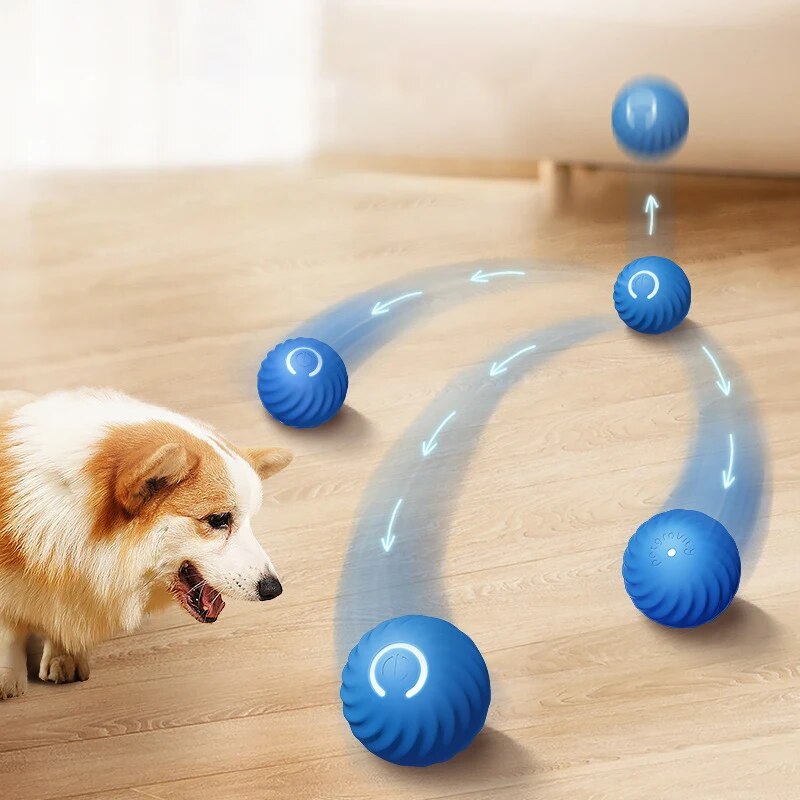 지능형 중력 점프 볼 충전식 물기 방지 롤링 볼, 고양 - Suction Cup Dog Tug Toy 리뷰 및 가격