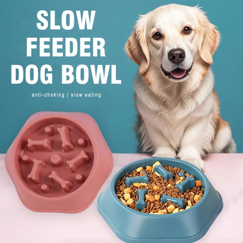 1개 슬로우 급식기 강아지 밥그릇, 질식 방지 퍼그 식 - Dog Puzzle Feeder Toy 리뷰 및 가격